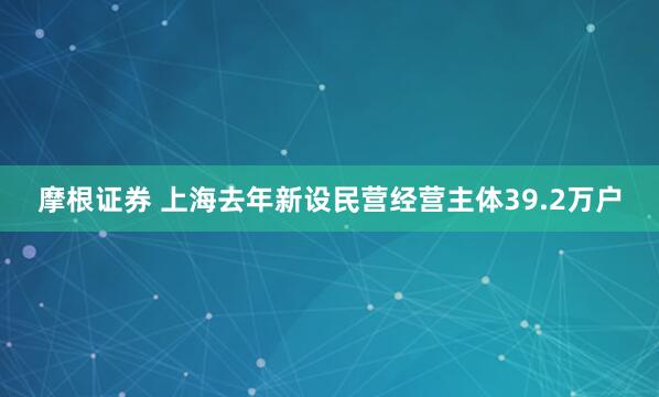 摩根证券 上海去年新设民营经营主体39.2万户