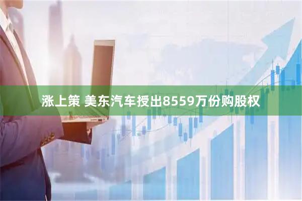 涨上策 美东汽车授出8559万份购股权