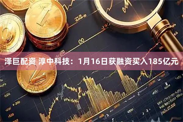 泽巨配资 淳中科技：1月16日获融资买入185亿元