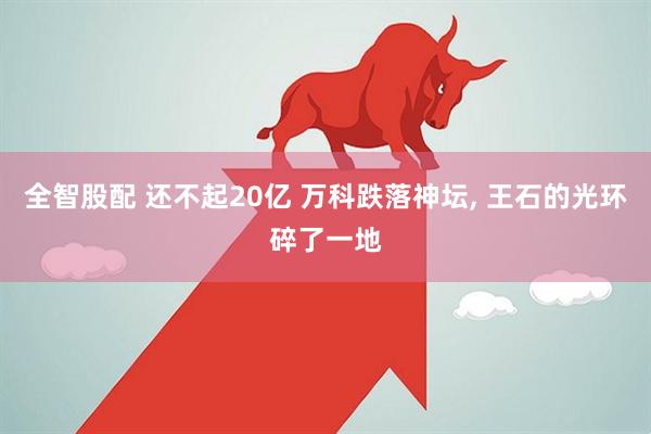 全智股配 还不起20亿 万科跌落神坛, 王石的光环碎了一地