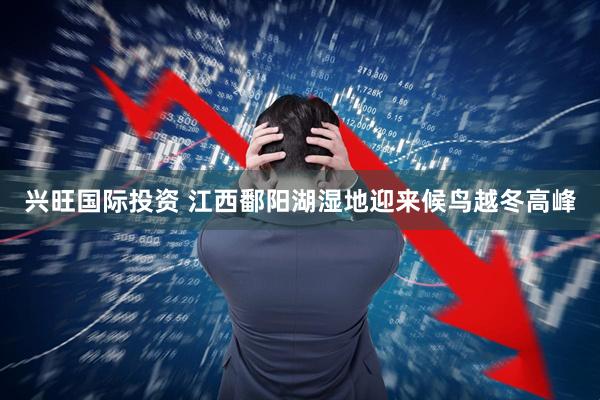 兴旺国际投资 江西鄱阳湖湿地迎来候鸟越冬高峰