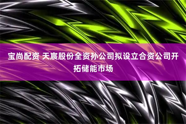 宝尚配资 天宸股份全资孙公司拟设立合资公司开拓储能市场
